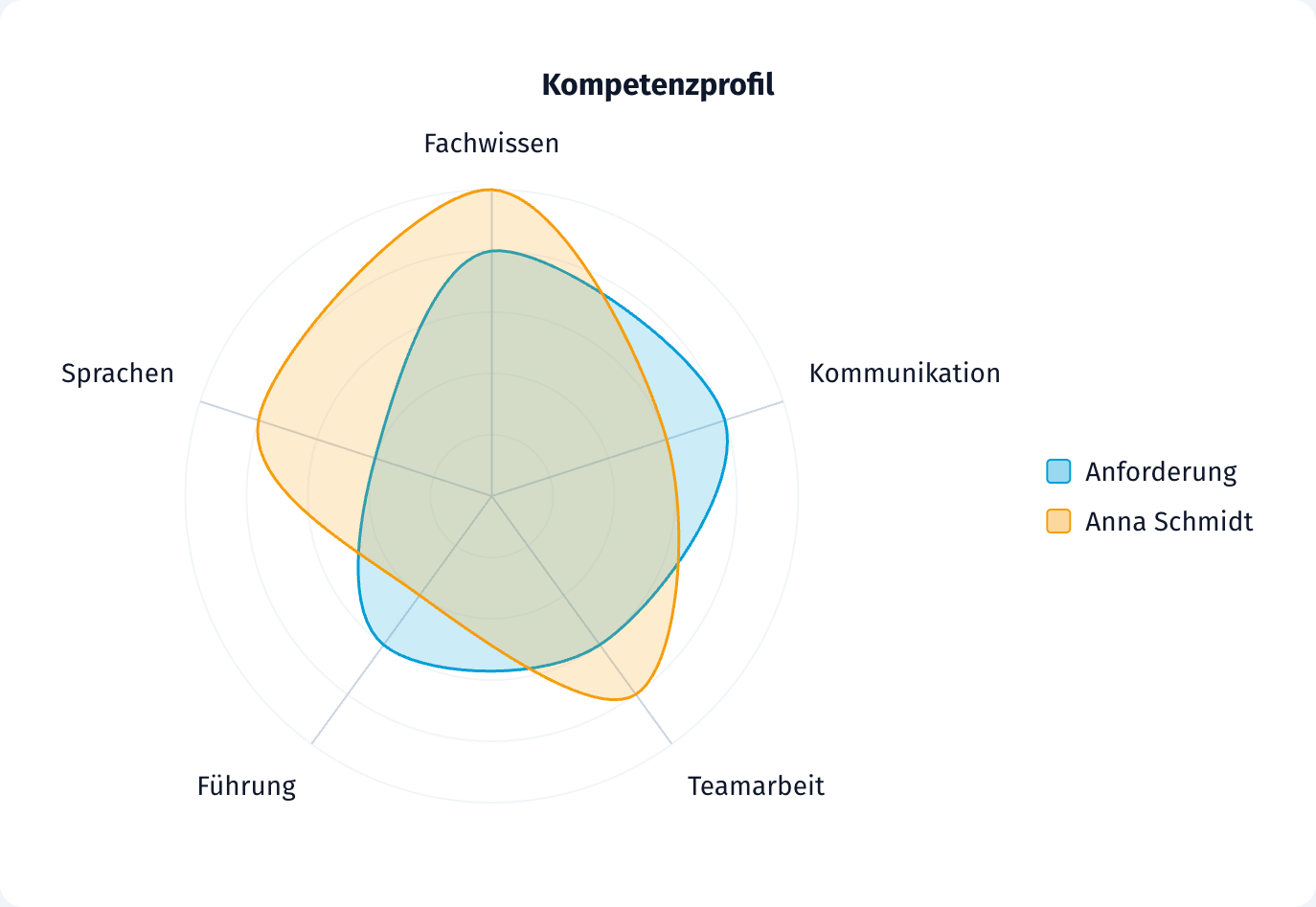 Radar-Diagramm: Profil gegen Anforderung